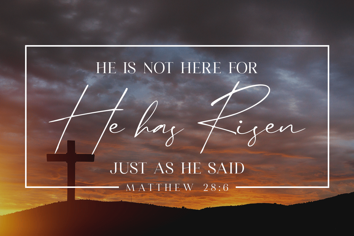 "He is not here for He is risen just as He said. Matthew 28:6" social media graphic "He is not here for He is risen just as He said. Matthew 28:6" social media graphic